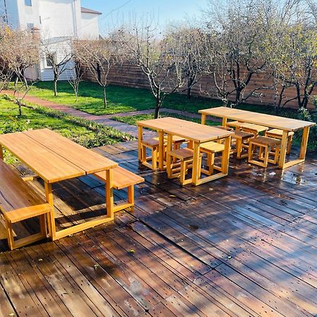 Apartamento Biolocalia House Dobrogea Balotesti Exterior foto