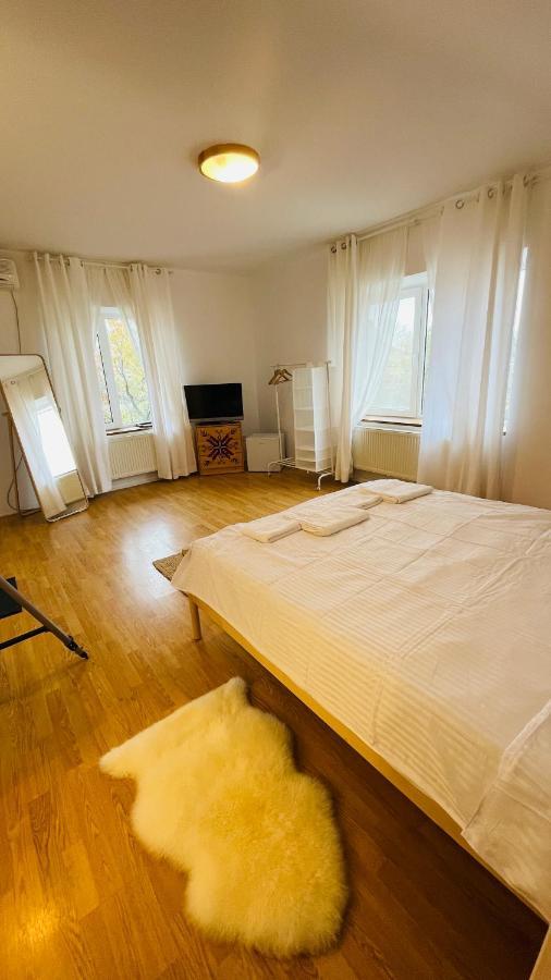 Apartamento Biolocalia House Dobrogea Balotesti Exterior foto