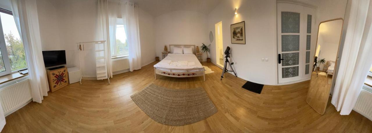 Apartamento Biolocalia House Dobrogea Balotesti Exterior foto