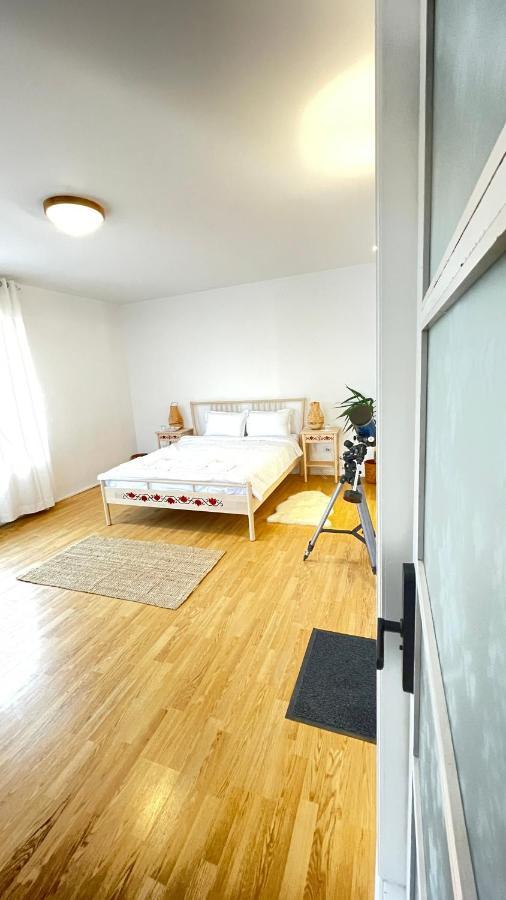 Apartamento Biolocalia House Dobrogea Balotesti Exterior foto